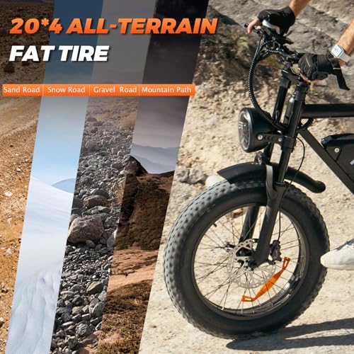 750W 48V 15Ah Removable Battery 20"x4.0" Fat Tire Full Suspension 7-Speed Electric Bike I563776