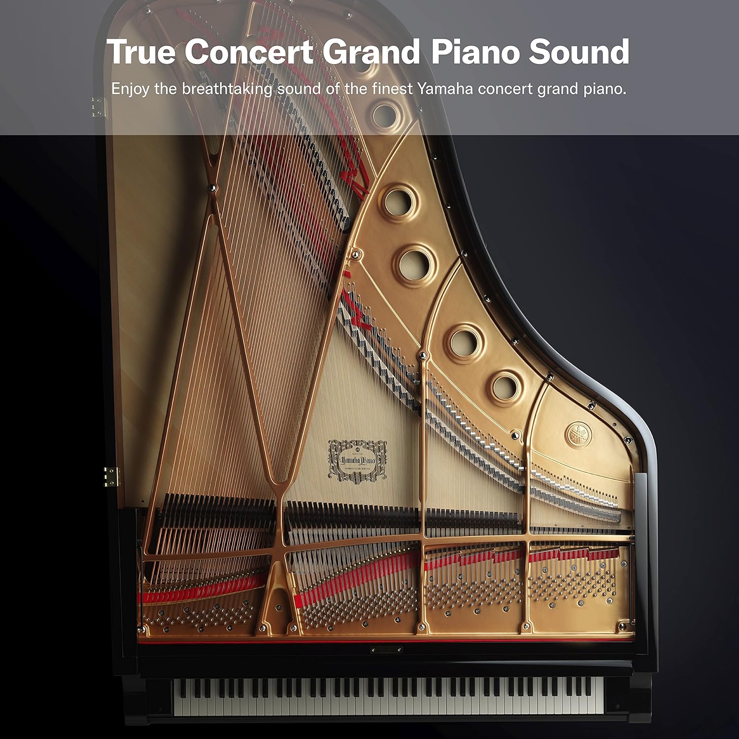 88-Key Weighted Digital Piano X115