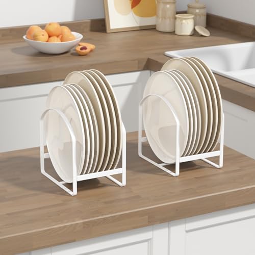 2 Pack Metal Dish Rack Black X474069