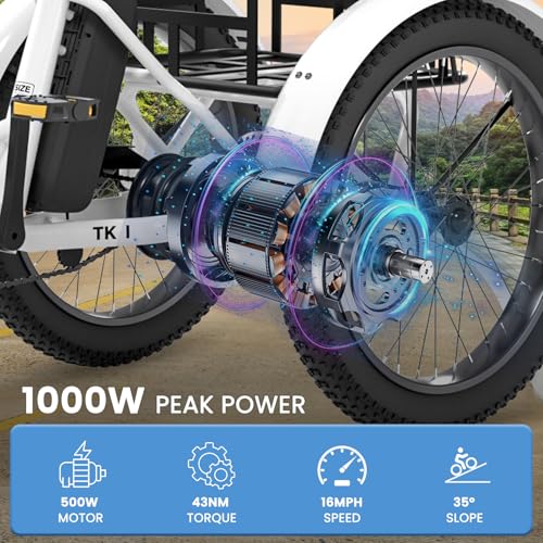 20" Folding 3 Wheels Electric Tricycle with Aluminum Frame V299