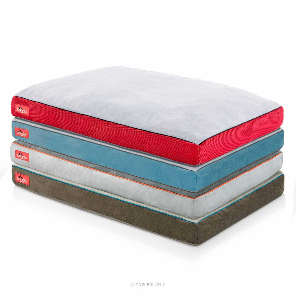 Soft Memory Foam Dog Bed with Removable Washable Cover W135998