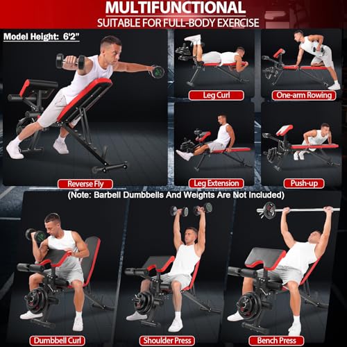 Adjustable Weight Bench with Leg Extension, Leg Curl - 800 LBS Heavy Duty Workout Bench T32454