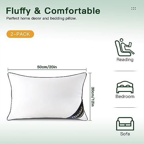 Pack of 2 Throw Pillow Inserts, 12x20, White, 100% Cotton Cover H61340