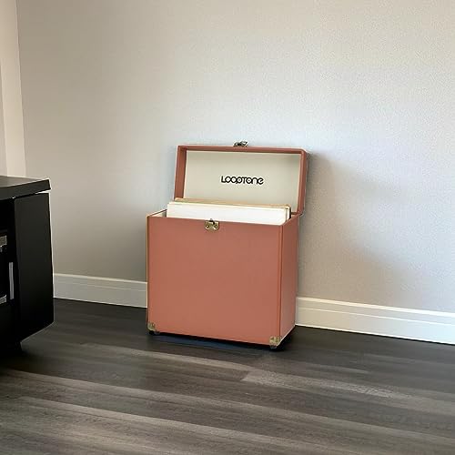 Retro Vinyl Record Storage Carrying Case, Holds 30 Albums, Large Size Carrier Suitcase D732