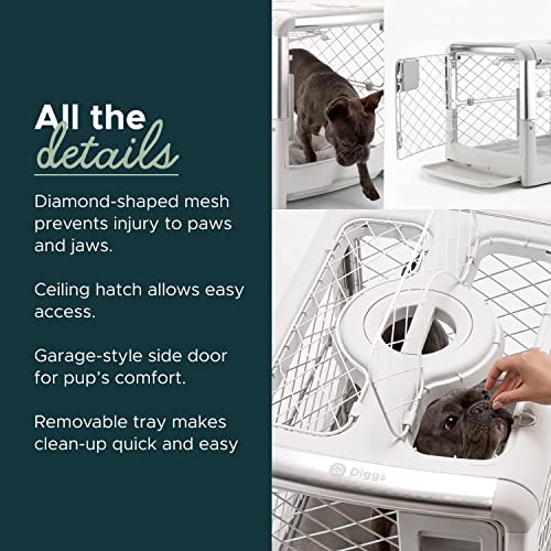 Collapsible Dog Crate (Ash) R647592