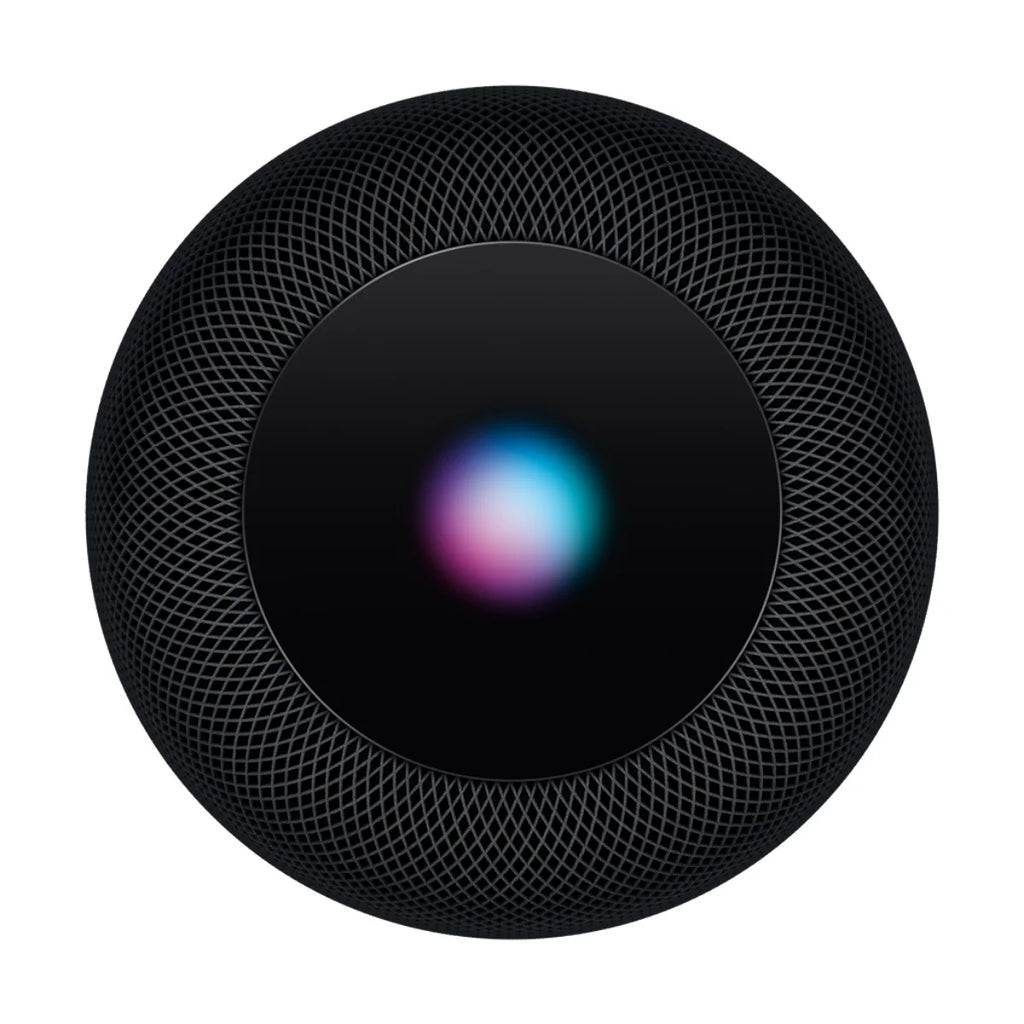 Space Gray Smart Speaker K361065