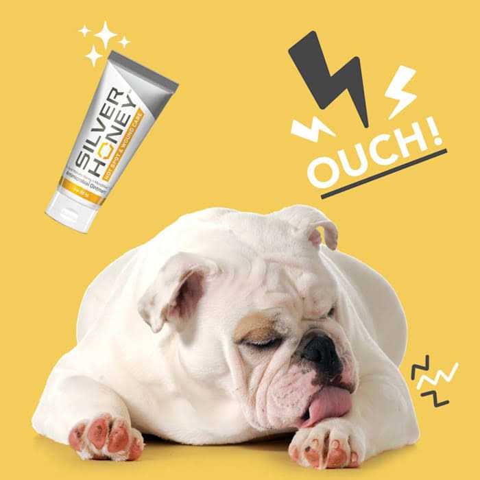 Hot Spot & Wound Care Ointment P348