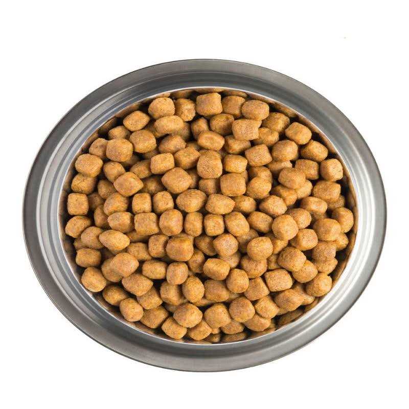 CardioCare Canine Formula Pet Supplies B184130