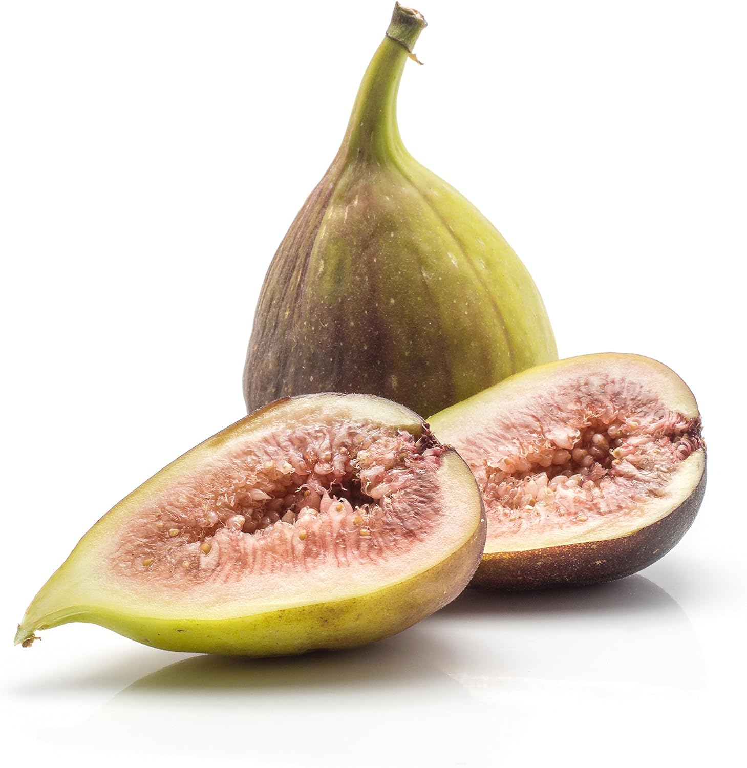 Brown Turkey Fig Self-Pollinating Fig Tree Q696