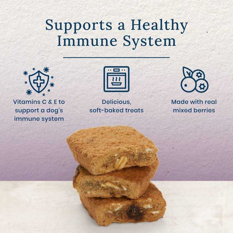 Chicken Support Dog Treats H3169