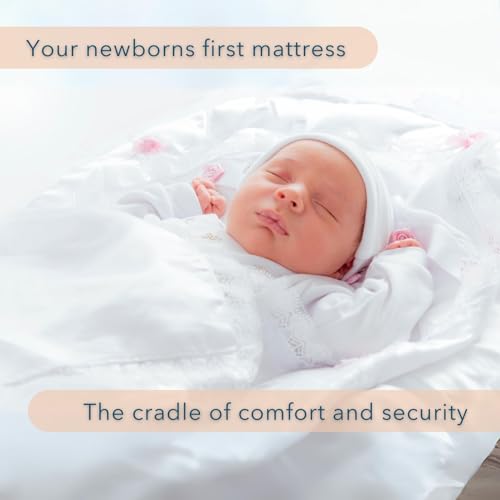 Bassinet Cradle Mattress Pad Oval 13X31 J81680