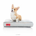 Soft Memory Foam Dog Bed with Removable Washable Cover W135998