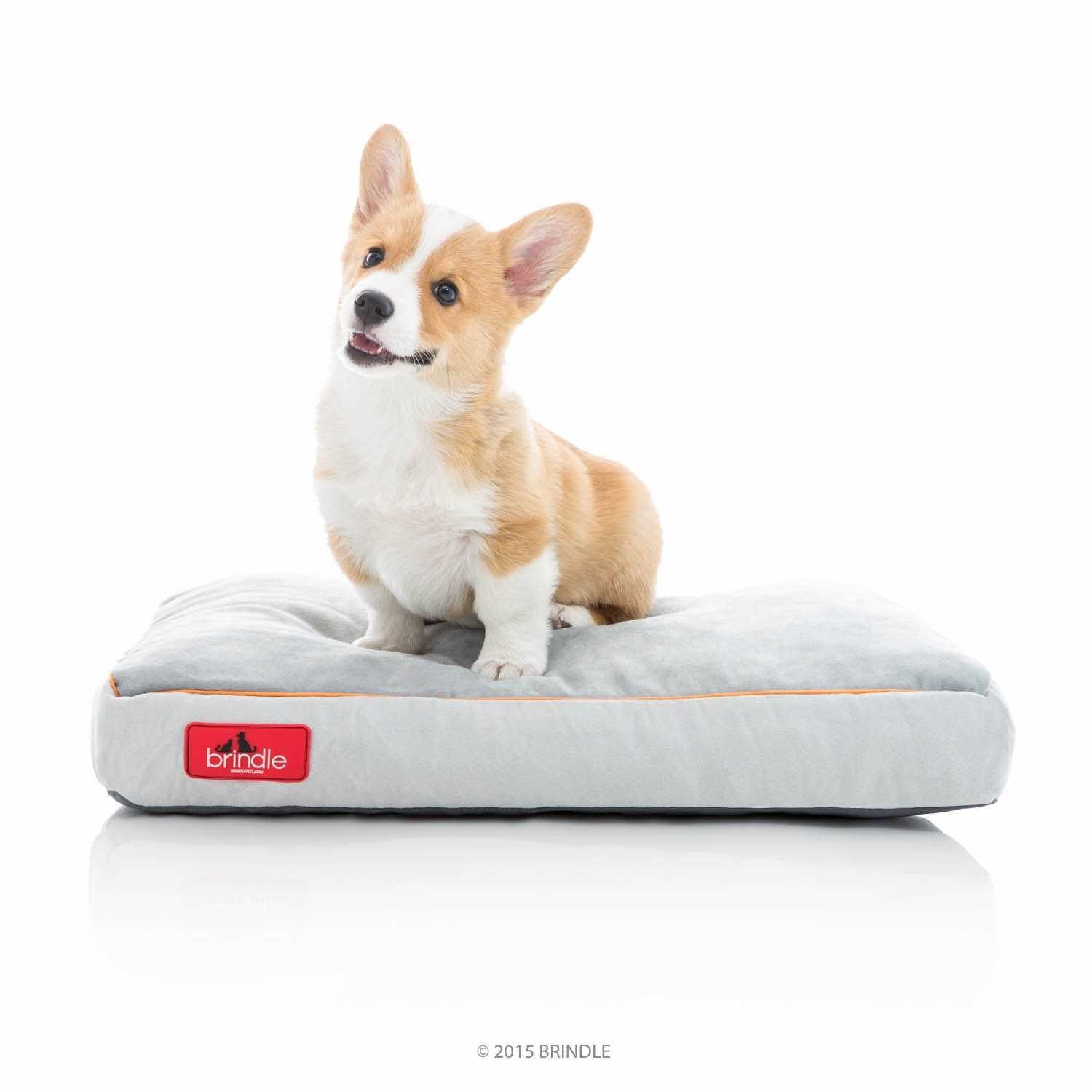 Soft Memory Foam Dog Bed with Removable Washable Cover W135998