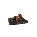 Orthopedic Dog Bed P591