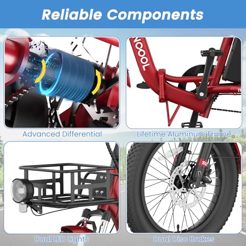 20" Folding 3 Wheels Electric Tricycle with Aluminum Frame V299
