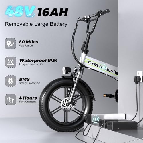 20" Fat Tire 1000W Folding Electric Bike with 48V Removable Battery V63745