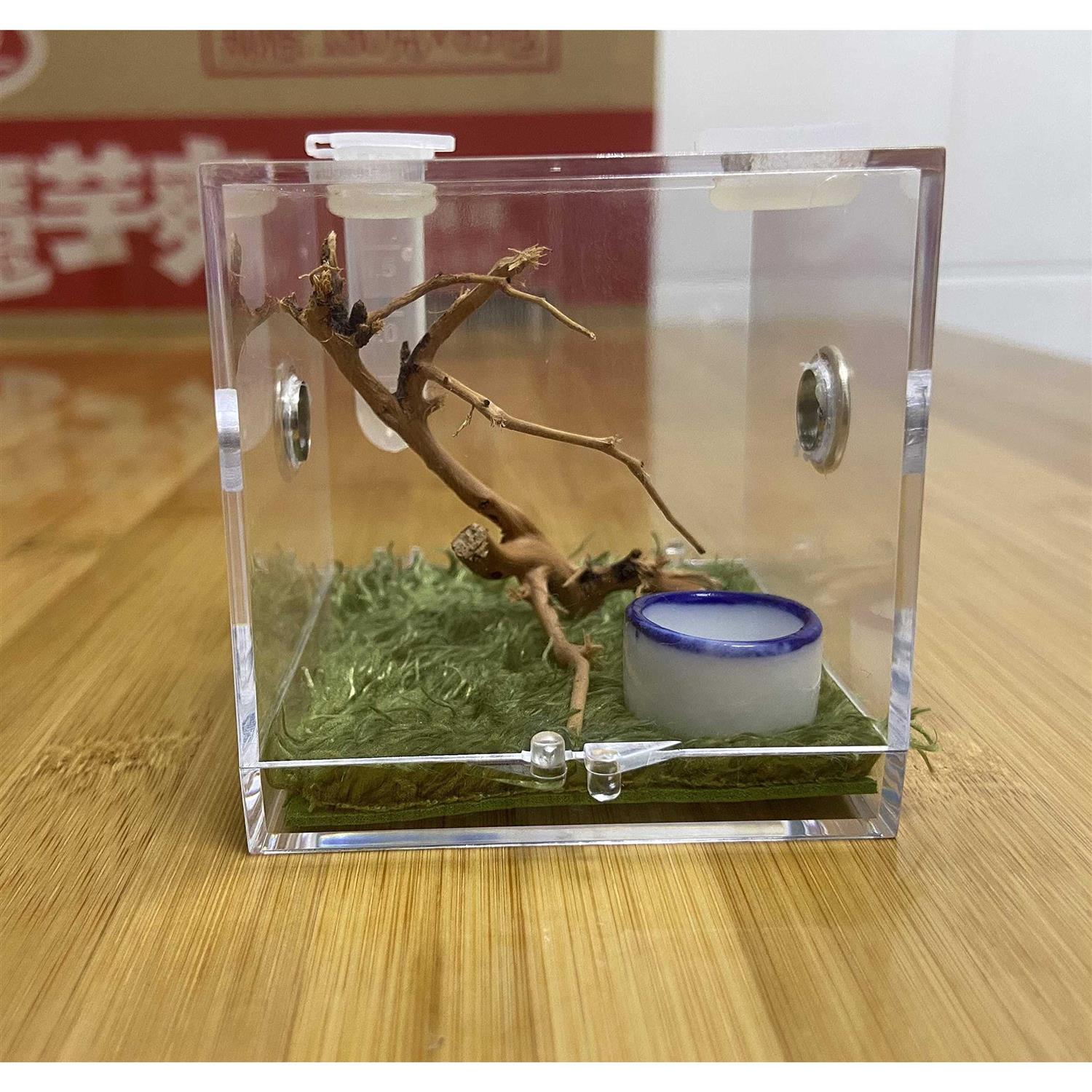 Spider Terrarium Acrylic Reptile Breeding Box with Dropper Tongs D573