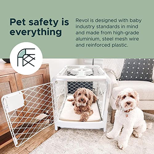 Collapsible Dog Crate (Ash) R647592