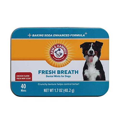 Chicken Flavor Dental Mints for Dogs, 40 Count K3305