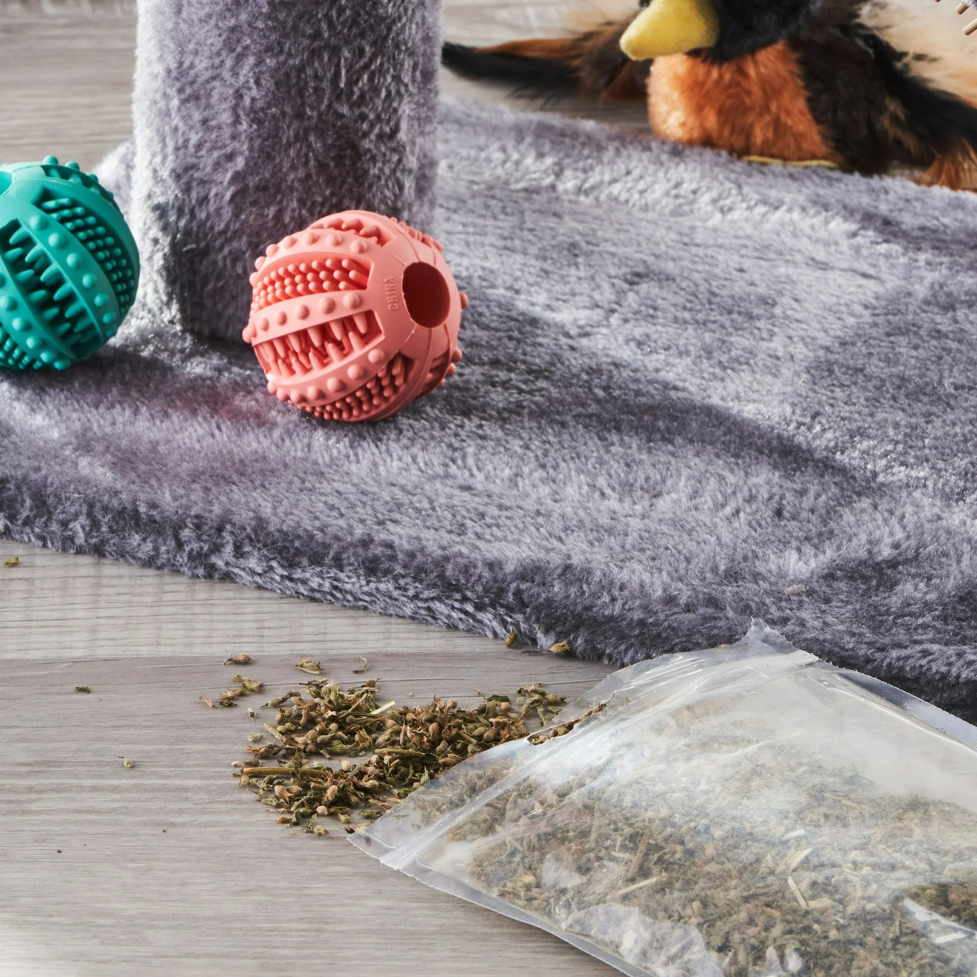 3 Pack 0.5 oz Catnip Blends R752005