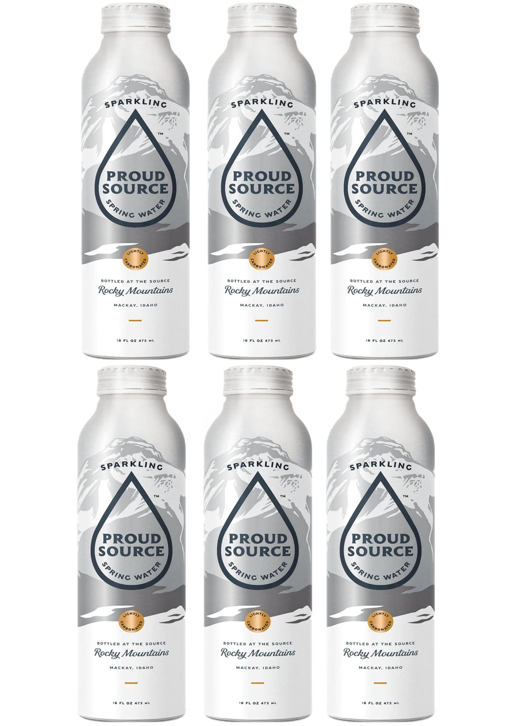 16oz Bottles Pack of 6 Sparkling Spring Water X332275