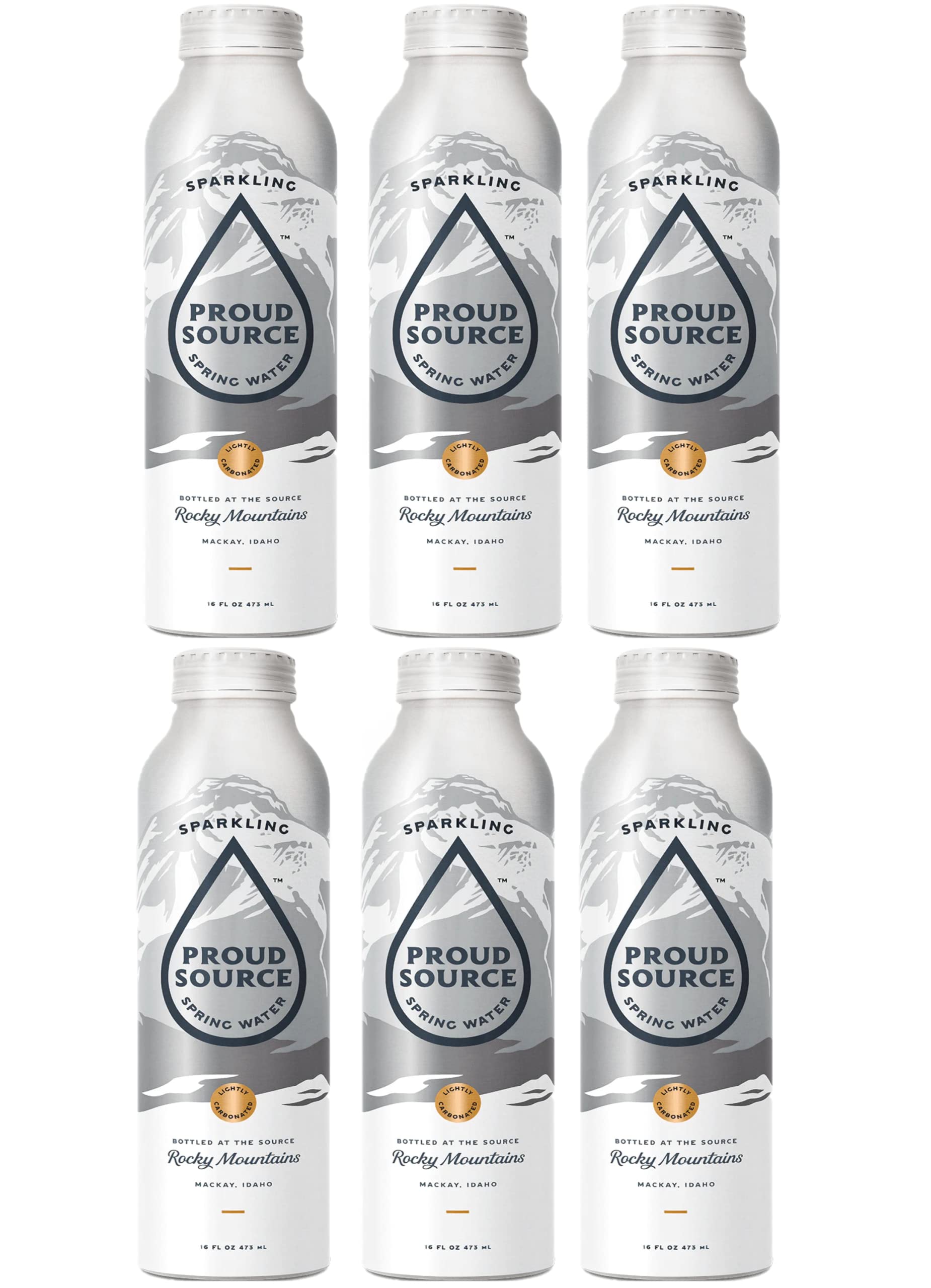 16oz Bottles Pack of 6 Sparkling Spring Water X332275