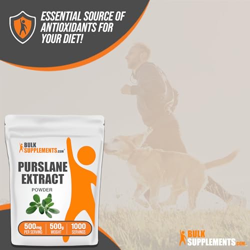 Purslane Extract Powder, 500mg per Serving, 1kg (2.2 lbs) C423337