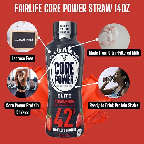 Chocolate Protein Shake 14 Fl Oz Pack of 12 H794