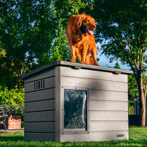 Weather Protected Dog House with Adjustable Vents X418