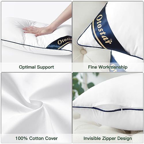 Pack of 2 Throw Pillow Inserts, 12x20, White, 100% Cotton Cover H61340