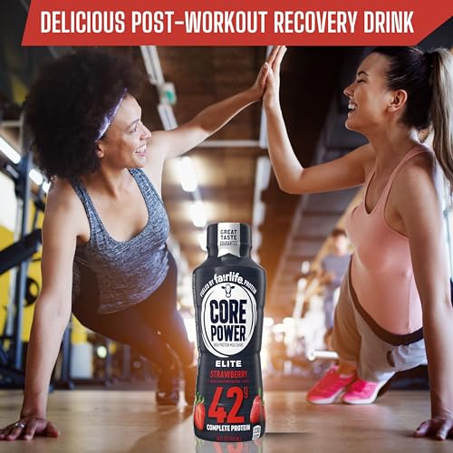 Chocolate Protein Shake 14 Fl Oz Pack of 12 H794