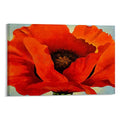 Red Flowers Canvas Wall Art Poster 12x08inch Unframe-Style G65097