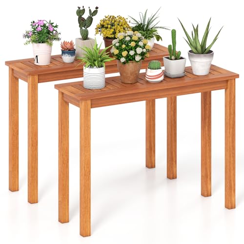 Wooden Plant Stand with Teak Oil Finish D925
