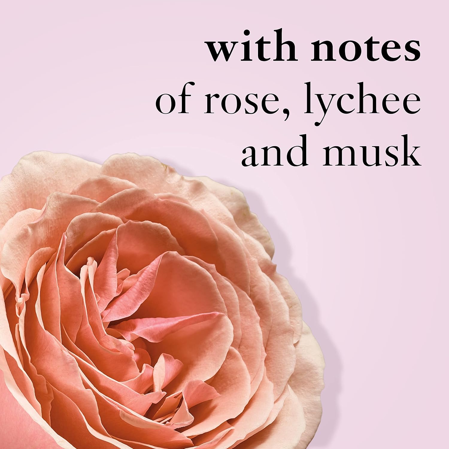 Ballet Rose Emulsion & Shower Gel Duo T7209