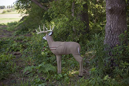 3D Deer Archery Target G897