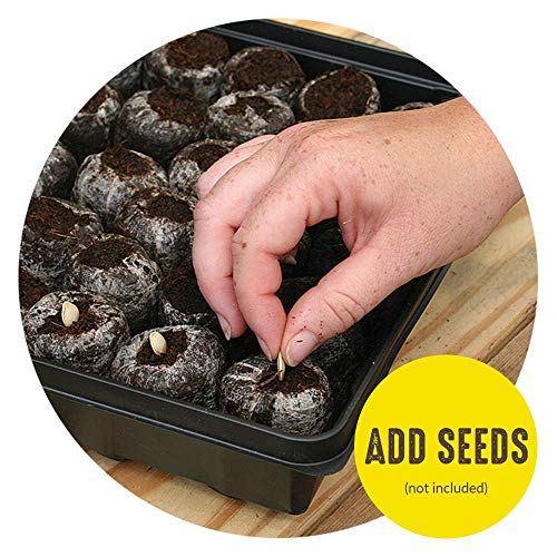 36 Cell 36mm Peat Pellets Seed Starting Tray Kit, 3 Pack G5206