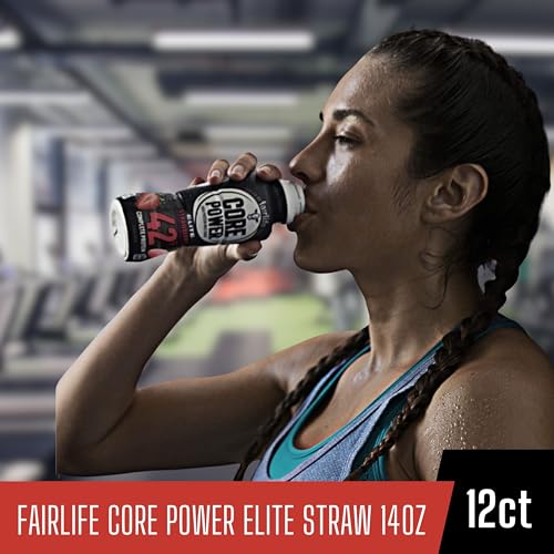 Chocolate Protein Shake 14 Fl Oz Pack of 12 H794