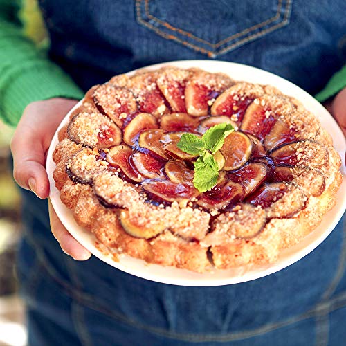 Brown Turkey Fig Tree Live Plant, 3 Gallon D284481