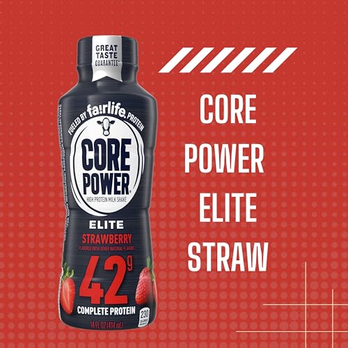 Chocolate Protein Shake 14 Fl Oz Pack of 12 H794