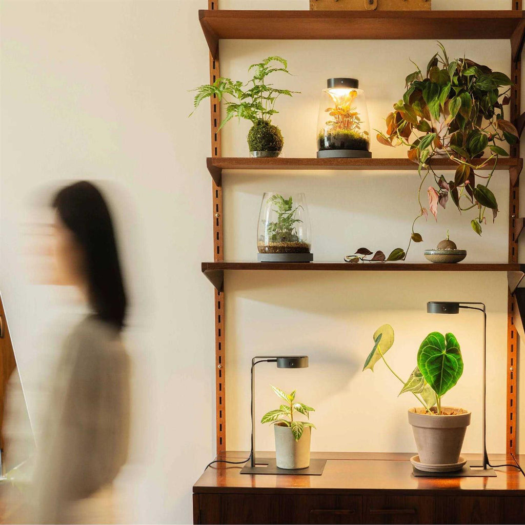 Magnetic LED Shelf Light for Indoor Plant Growth A176