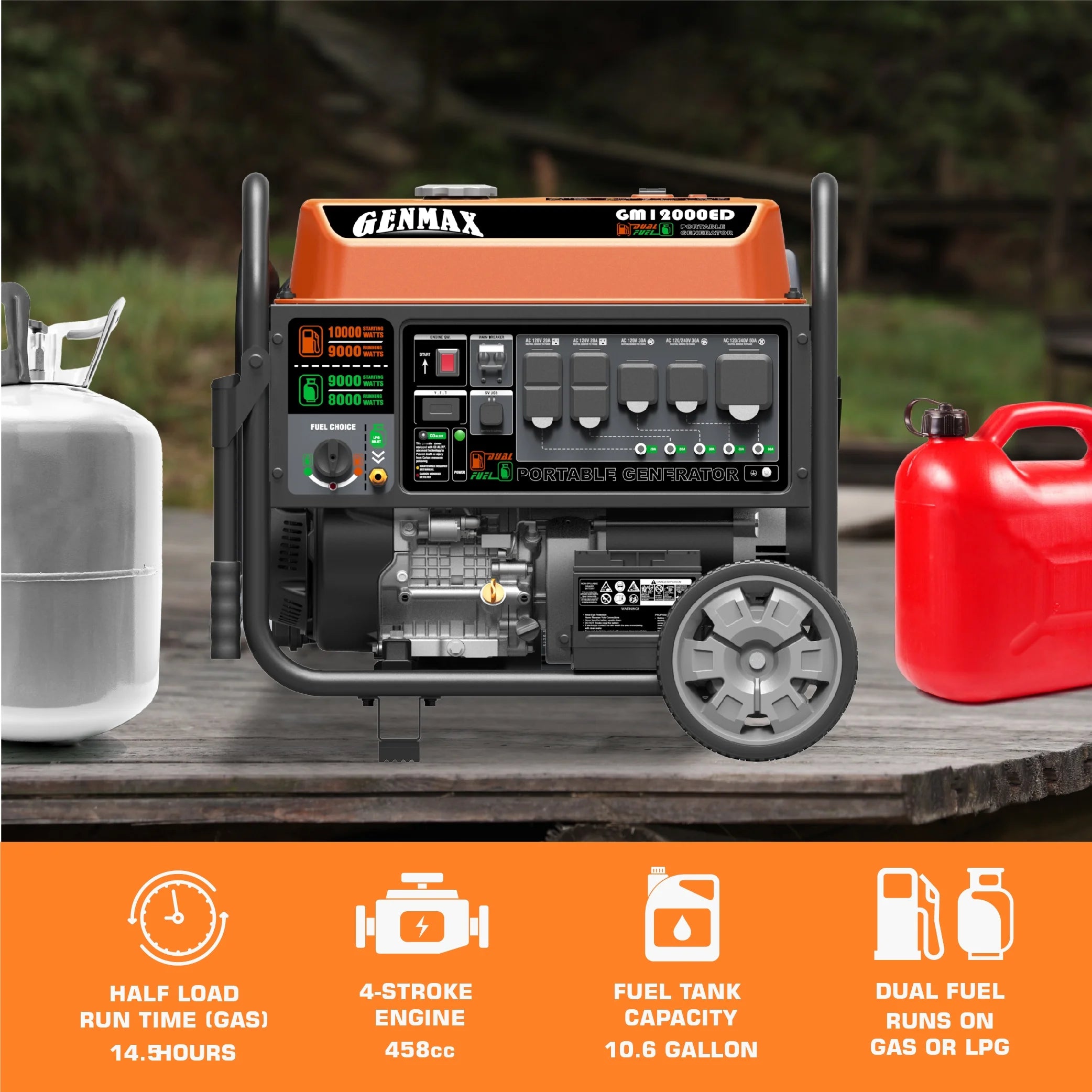 Dual Fuel Portable Generator 12000 Watt Electric Start Y40830