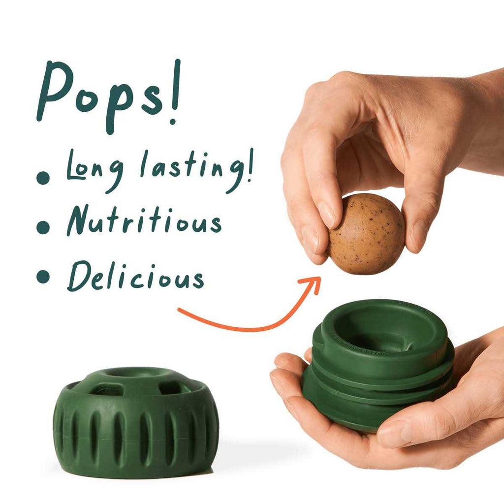 Pupsicle Starter Pack Treat V3068
