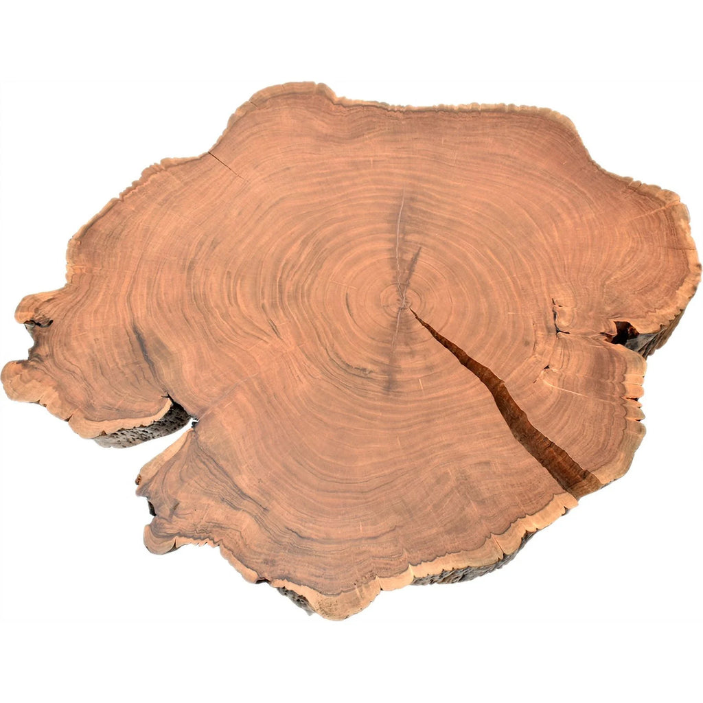 Acacia Wood Top Coffee Table W2482