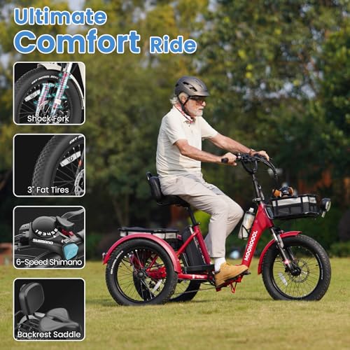 20" Folding 3 Wheels Electric Tricycle with Aluminum Frame V299