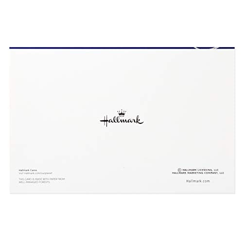 40 Blue Holiday Cards with Envelopes R4512