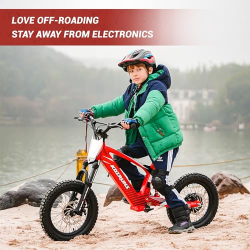 Lightweight Electric Dirt Bike, 750/850W Motor, 3-Speed Mode K29781