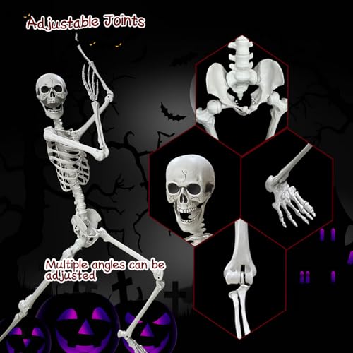 5.4Ft Poseable Plastic Human Skeletons J2425