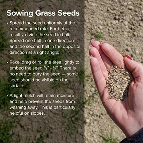 Fine-Textured Sun and Shade Grass Seed Mix, 25 lb Bag S98965