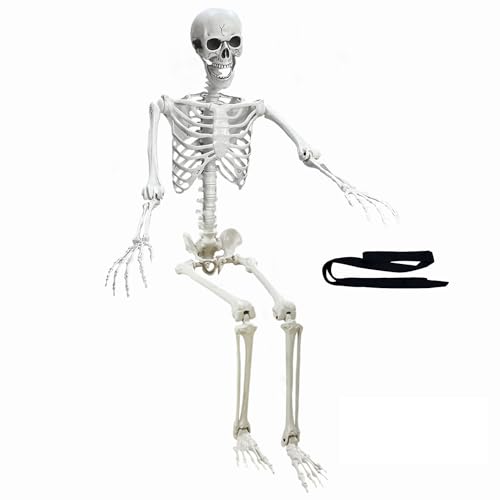 5.4Ft Poseable Plastic Human Skeletons J2425