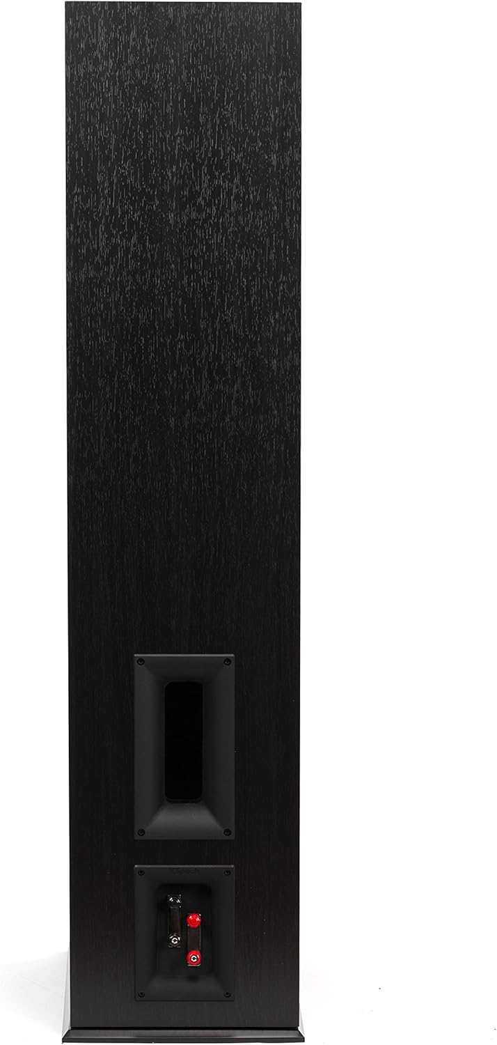 Ebony Floorstanding Speaker A489